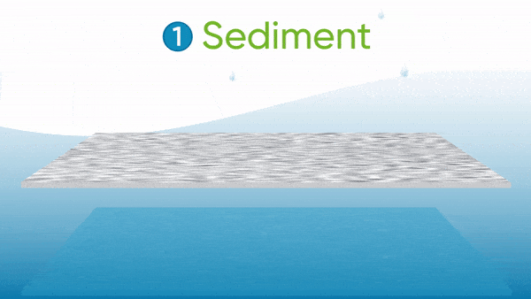 Sediment Filter: First Step of NSF-Certified Filtration Technology 