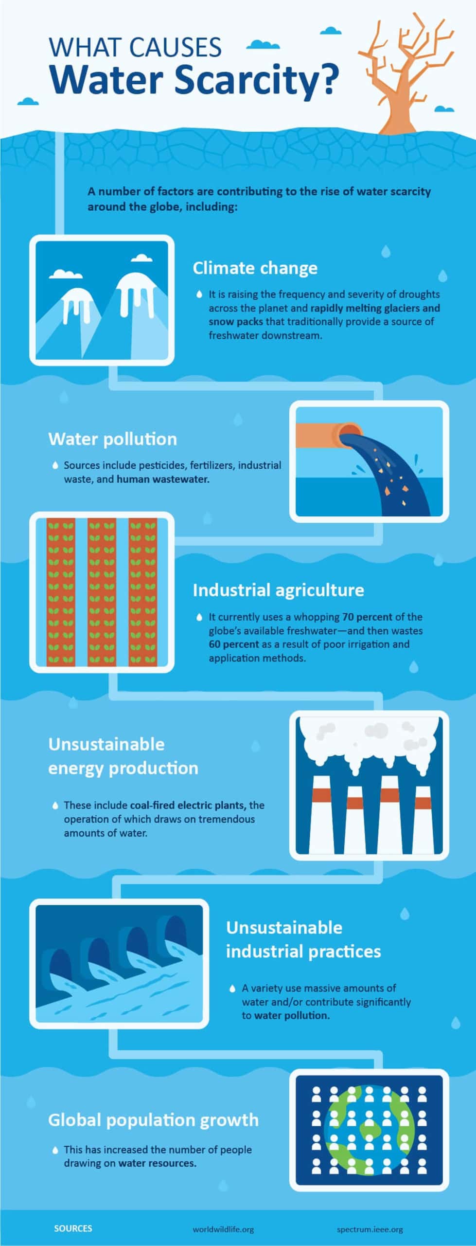 infographic-what-causes-water-scarcity