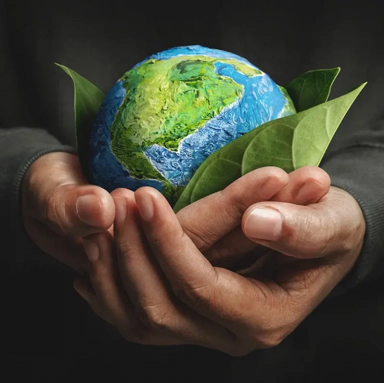 person holding earth in hand