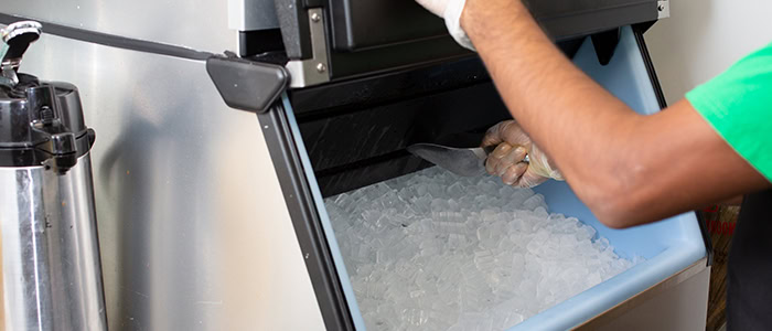 restaurant worker scooping ice from bin ice machine